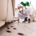 Hire Pest Control Professionals