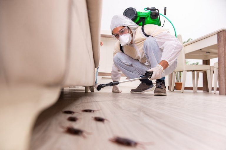 Hire Pest Control Professionals