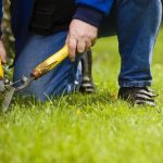 Landscaping Business