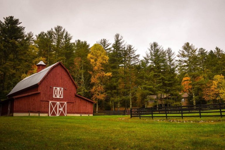 5 Ways To Protect Your Farm Ways To Protect Your Farm