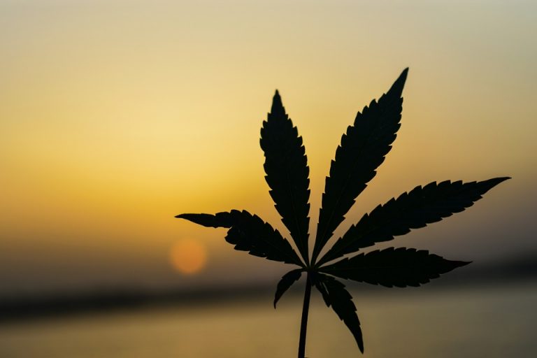 The Benefits Of Legalizing Marijuana Benefits Of Legalizing Marijuana