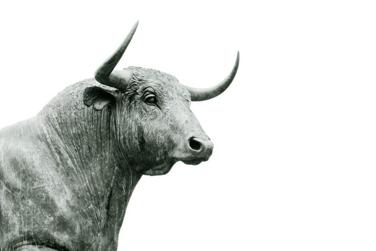 Prepare For The Bitcoin Bull Market Top With PrimeXBT Bitcoin Bull Market Top With PrimeXBT