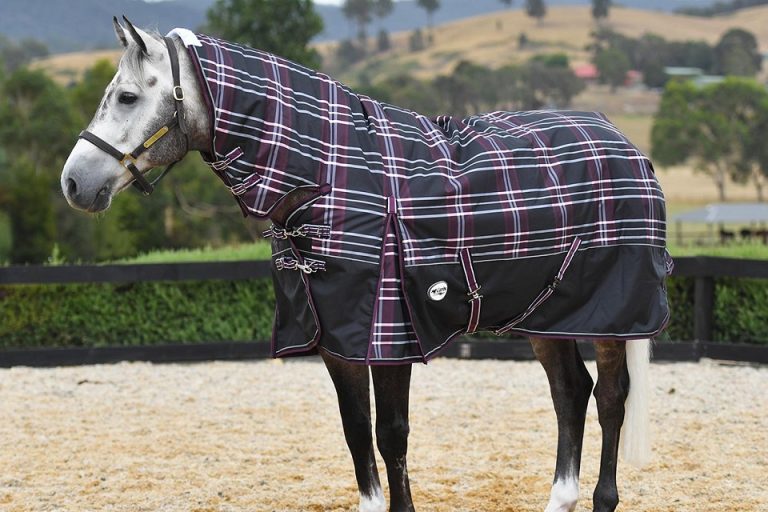 Top Designer Horse Rug Brands Top Designer Horse Rug Brands