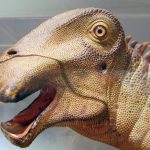 What Dinosaur Has 500 Teeth