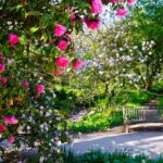 Design A Memorial Garden