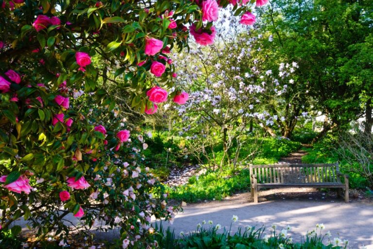 How To Design A Memorial Garden For A Loved One Design A Memorial Garden