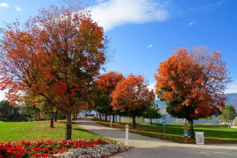 Buying Land Available For Sale