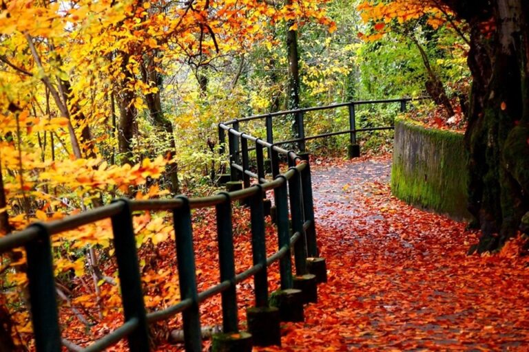 Top 7 Best Countries For Holidays In Autumn Best Countries For Holidays