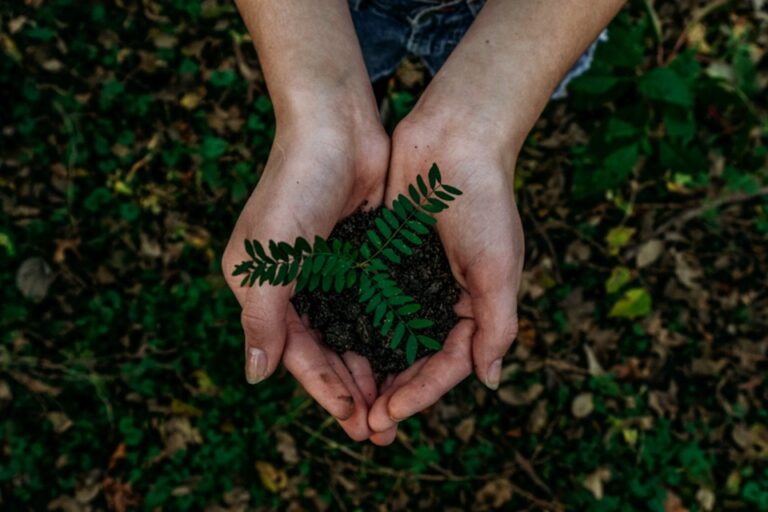 5 Sustainable Technologies To Save The Future Sustainable Technologies To Save The Future