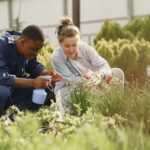 Landscape Maintenance