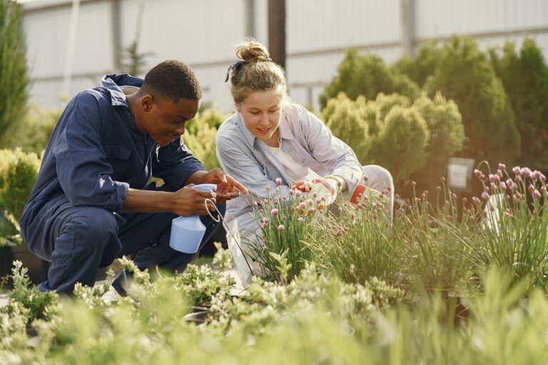 Efficient Landscape Maintenance: Tools & Tips For Busy Professionals Landscape Maintenance