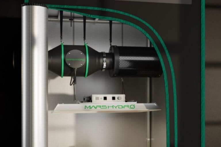 Ventilation System In Your Grow Tent
