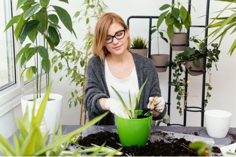 Balcony Gardening In A Small Apartment: Best Plants & Care Tips For Beginners Balcony garden in small apartment