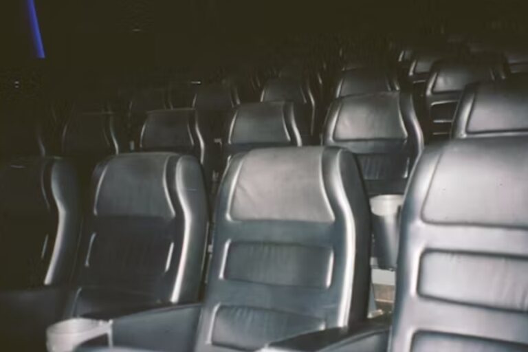 Elevate Your Movie Nights With Custom Luxury Theater Seats