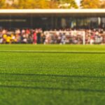 How Fulham Have Established Premier League Consistency