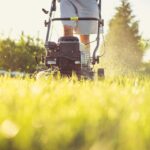 Importance Of Seasonal Yard Care