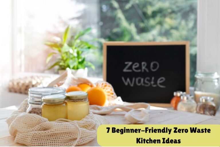 Zero Waste Kitchen Setup Ideas For Beginners