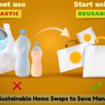 Eco-Friendly Home Swaps That Save Money