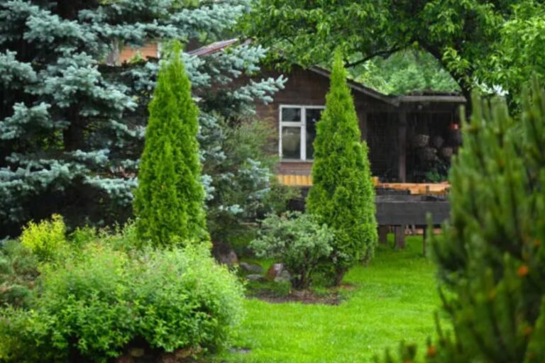 Top 5 Landscaping Ideas To Enhance Your Backyard Retreat Landscaping Ideas To Enhance Your Backyard Retreat