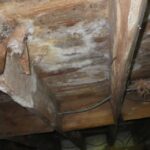 Crawl Space Moisture Issues