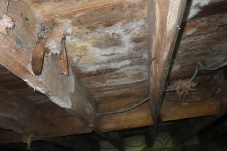 Crawl Space Moisture Issues