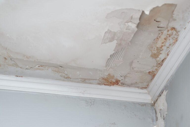 Homeowner’s Guide To Water Damage Prevention & Recovery