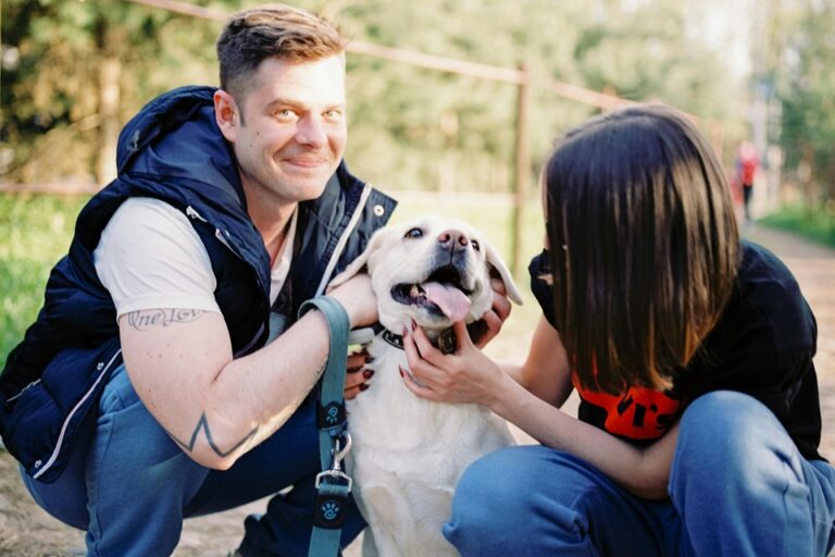 Daycare For Dogs: Fun, Safety, & Socialization Benefits Daycare For Dogs