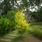 Eco-Friendly Landscape Design