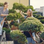 How Trees Around Your Home Affect Long-Term Exterior Care