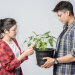 Some People Turn To Plants