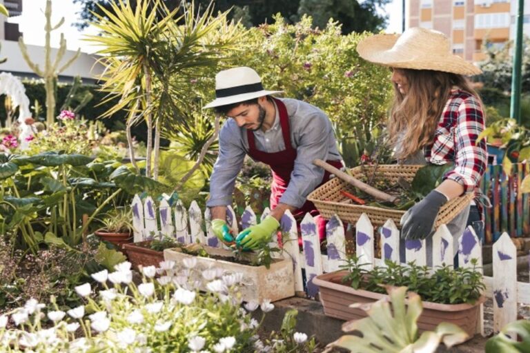 decoration tips decoradyard