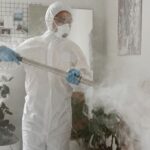 Eco-Friendly Pest Control Solutions