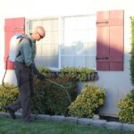 Pest Inspections and Prevention