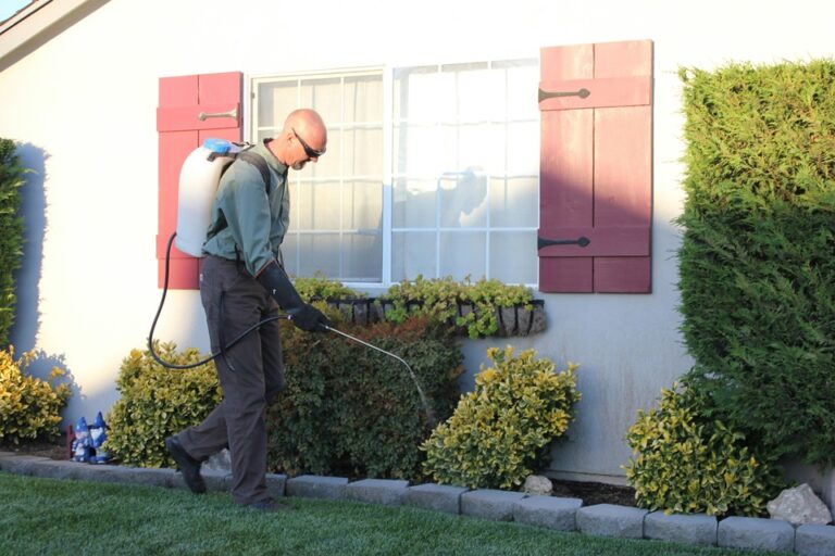 A Practical Homeowner’s Guide To Pest Inspections & Prevention Pest Inspections and Prevention