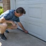 Household Pests Out During Hot, Dry Weather