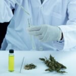 How Cannabis Testing Works In New Jersey